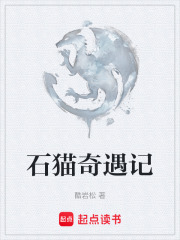 石猫奇遇记在线阅读
