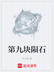 第九块陨石在线阅读