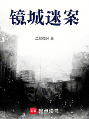 镜城迷案在线阅读