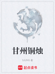 甘州铜烛在线阅读