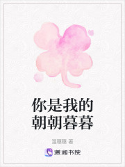 你是我的朝朝暮暮在线阅读