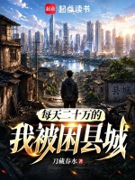 每天二十万的我被困县城封面
