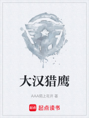 大汉猎鹰在线阅读