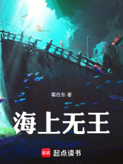 海上无王在线阅读