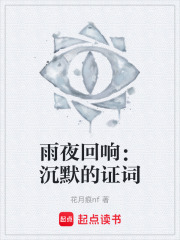 雨夜回响：沉默的证词在线阅读