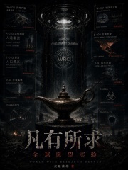 凡有所求：全球愿望实验在线阅读
