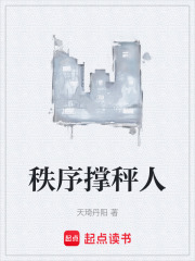 秩序撑秤人在线阅读