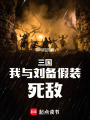 三国：我与刘备假装死敌在线阅读