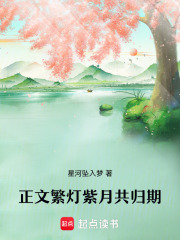 正文繁灯紫月共归期在线阅读