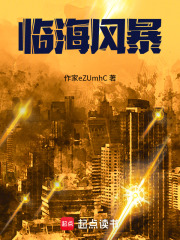 临海风暴在线阅读