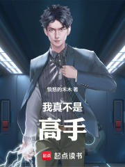 我真不是高手在线阅读