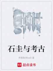石圭与考古在线阅读
