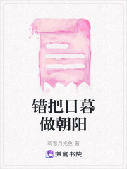 错把日暮做朝阳在线阅读