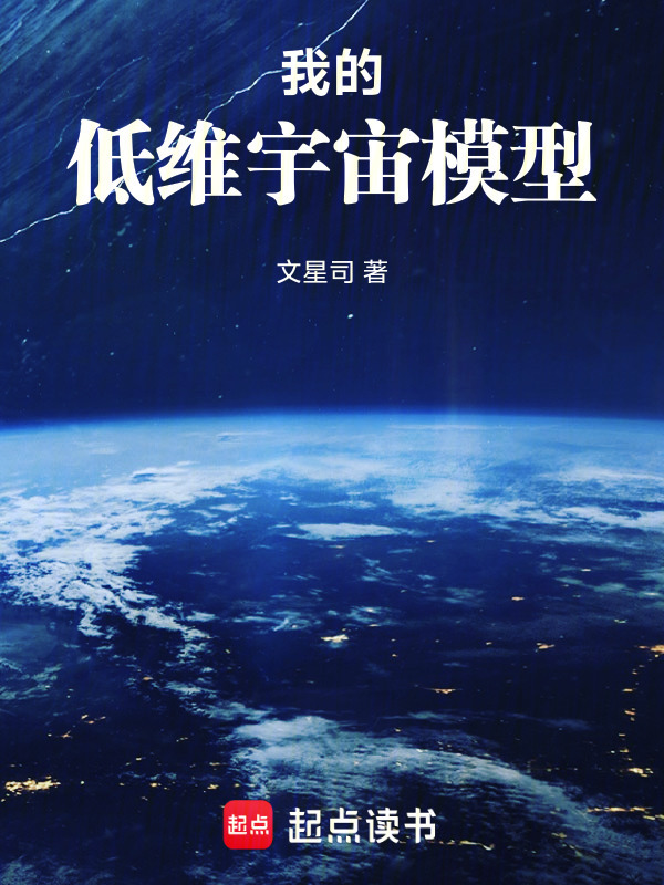 我的低维宇宙模型在线阅读