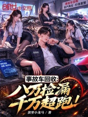 事故车回收：八万捡漏千万超跑！在线阅读