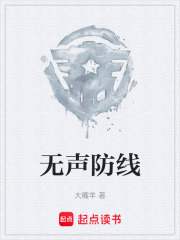 无声防线在线阅读