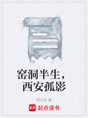 窑洞半生，西安孤影在线阅读