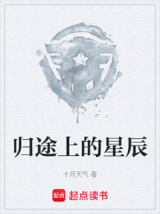 归途上的星辰在线阅读