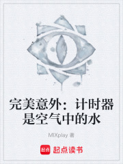 完美意外：计时器是空气中的水在线阅读