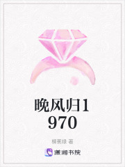 晚风归1970在线阅读