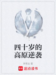 四十岁的高原逆袭在线阅读