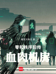 零和秩序前传：血肉机房在线阅读