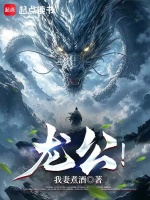 龙公！在线阅读