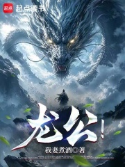龙公！在线阅读