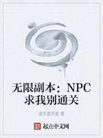 无限副本：NPC求我别通关封面
