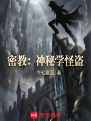 密教：神秘学怪盗在线阅读