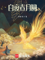 白夜煮月圆最新章节在线阅读