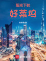 阳光下的好莱坞在线阅读