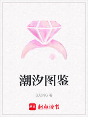 潮汐图鉴在线阅读