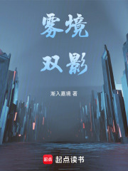 雾境双影在线阅读