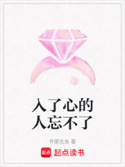 入了心的人忘不了在线阅读