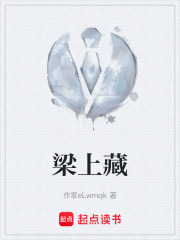 梁上藏在线阅读