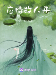 应待故人来在线阅读