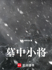 墓中小将在线阅读