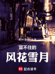 留不住的风花雪月在线阅读