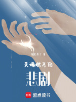灵魂燃尽的悲剧最新章节在线阅读