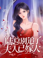 陆总别追了，夫人已嫁人在线阅读