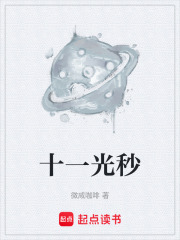十一光秒在线阅读