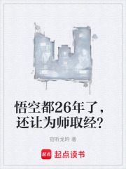 悟空都26年了，还让为师取经？在线阅读