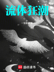 流体狂潮在线阅读