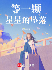 等一颗星星的坠落