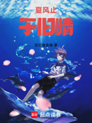 夏风止于旧晴在线阅读