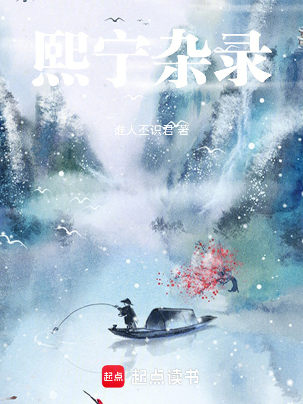 熙宁杂录在线阅读