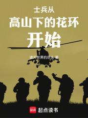 士兵从高山下的花环开始 封面