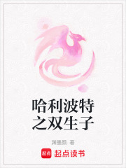 哈利波特之双生子在线阅读