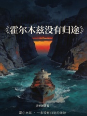 霍尔木兹没有归途在线阅读